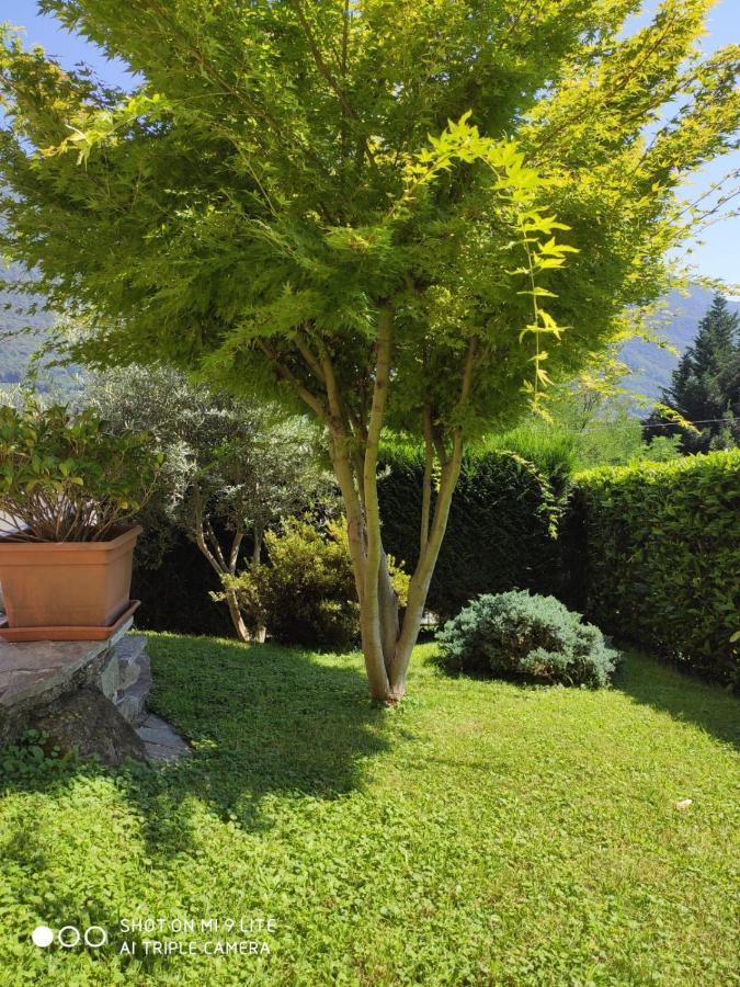 Casa Vacanza Il Glicine Casale Corte Cerro Exterior foto