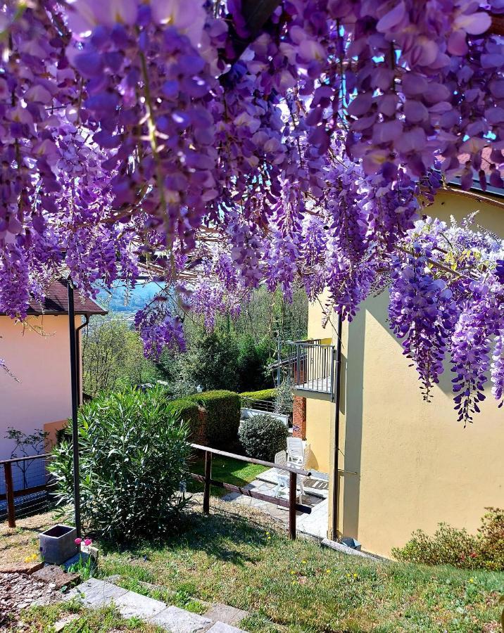Casa Vacanza Il Glicine Casale Corte Cerro Exterior foto